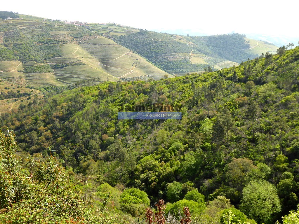Agricultural land