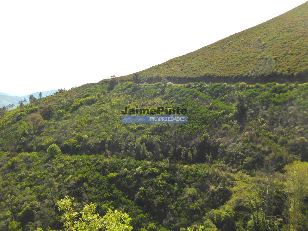 Agricultural land