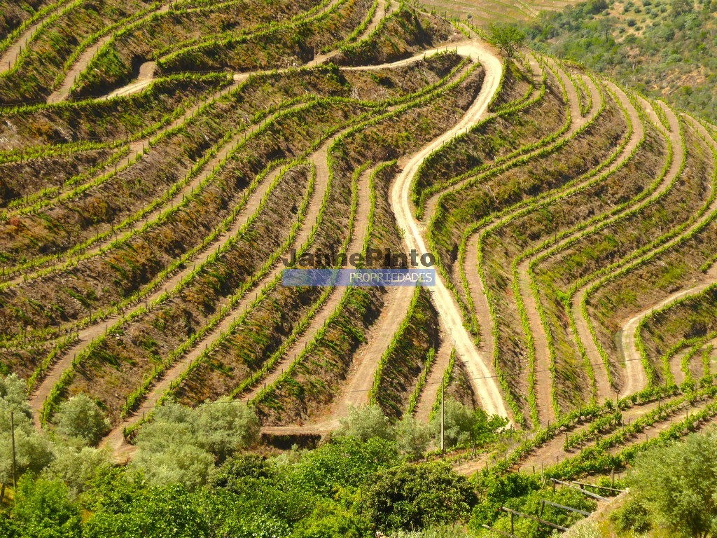 Agricultural land