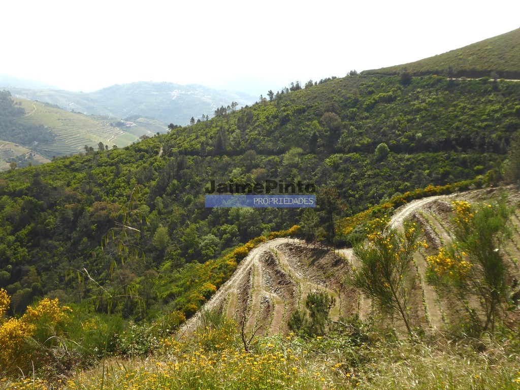 Agricultural land