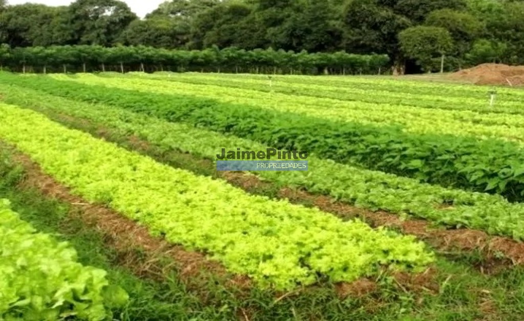 Urban / Agricultural land plot