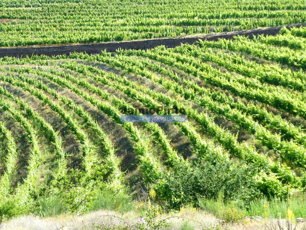Farm