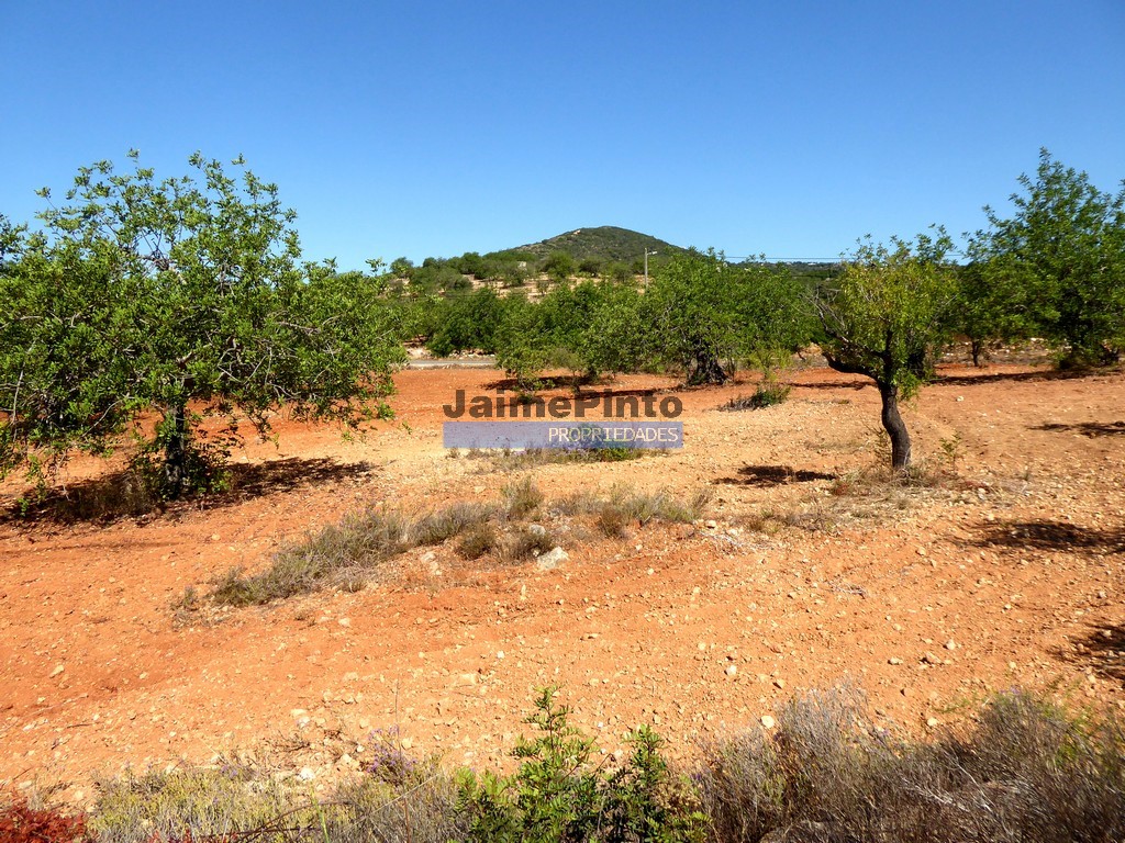 Farm