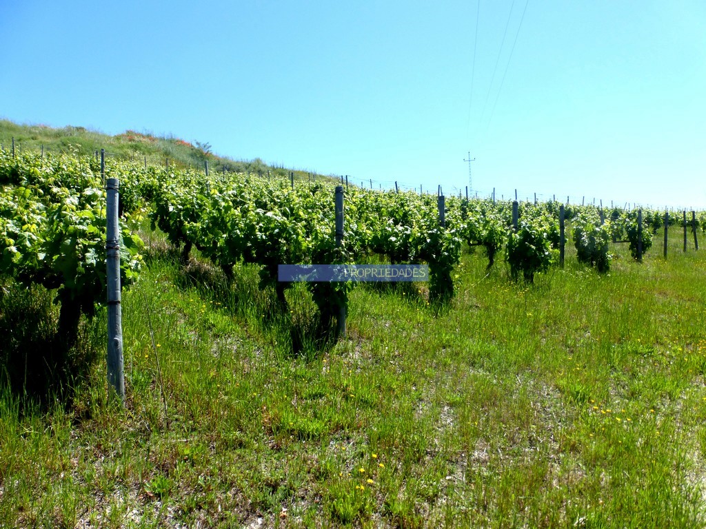 Agricultural land