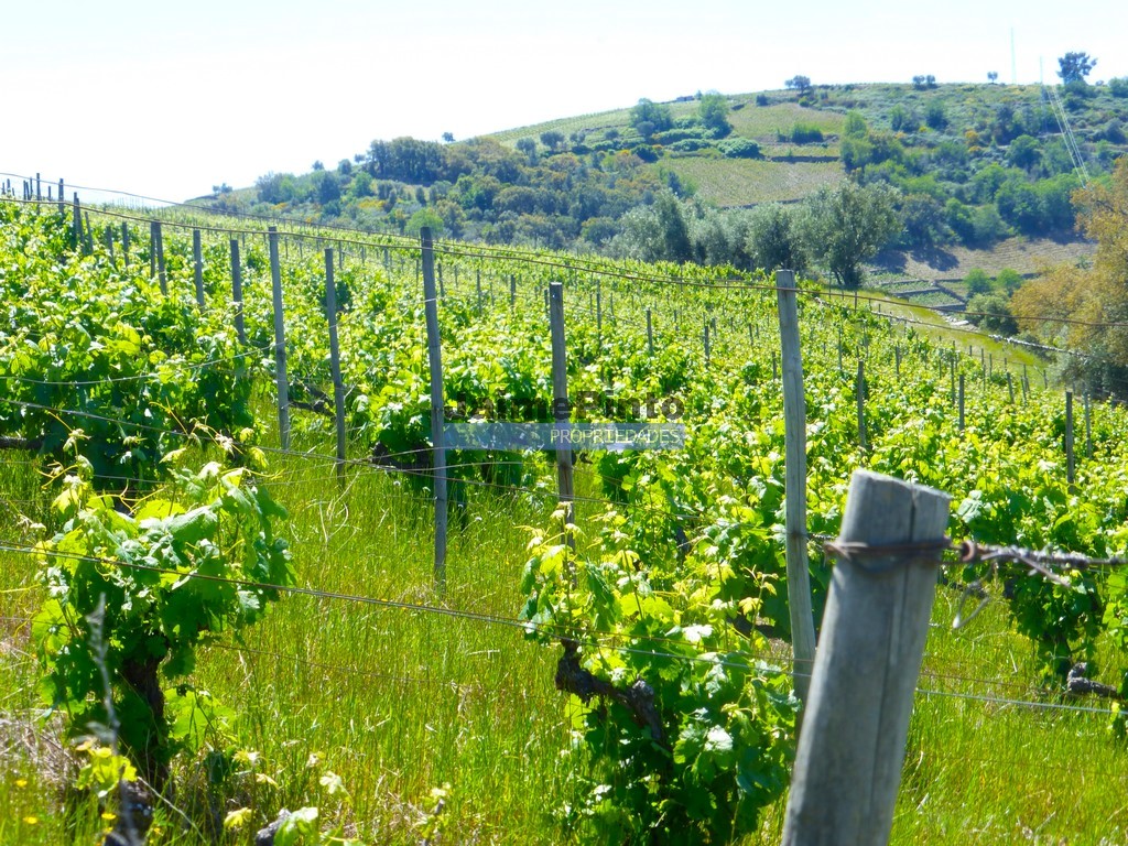 Agricultural land
