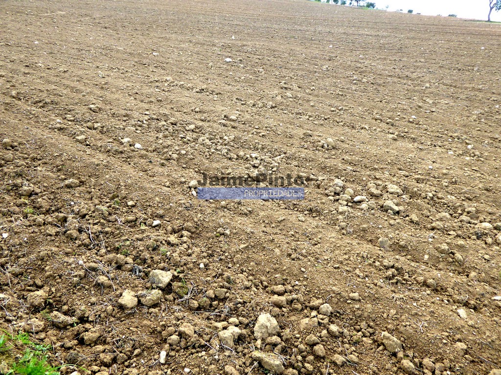 Agricultural land