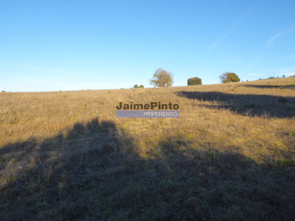Agricultural land