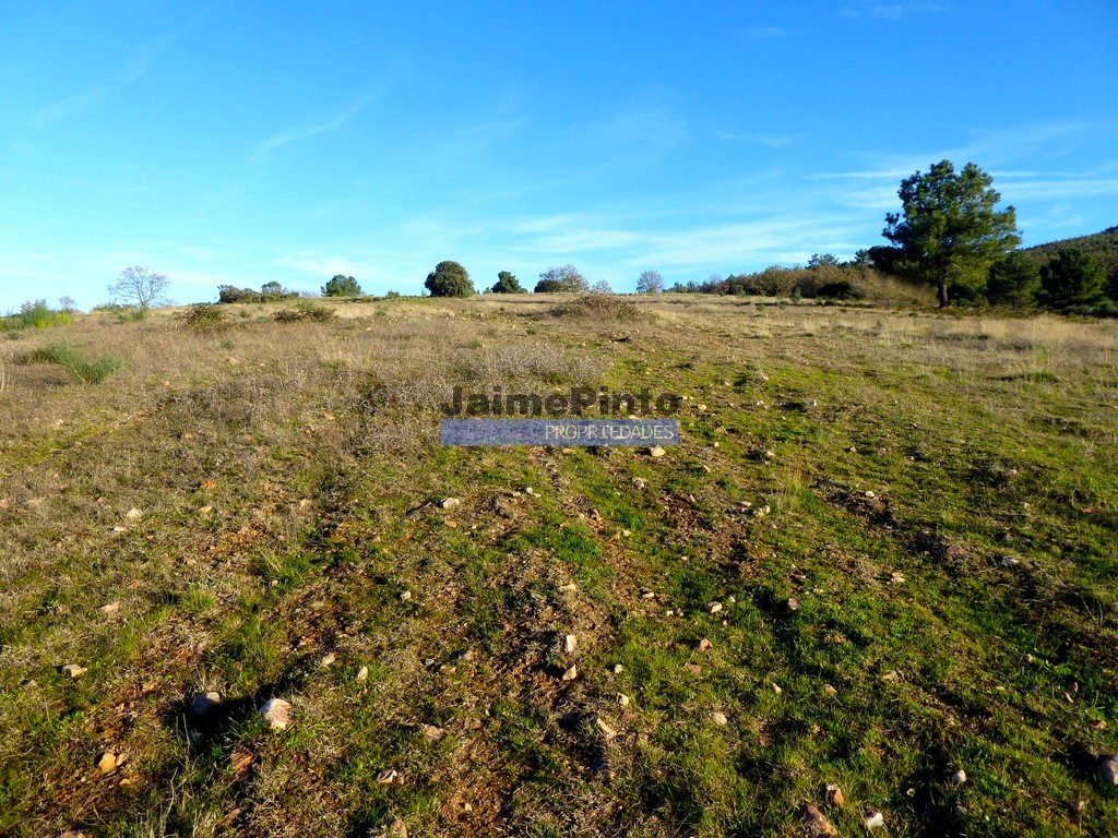Agricultural land