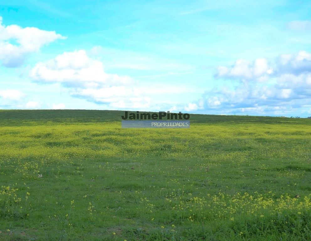 Agricultural land