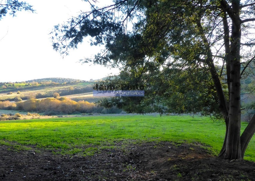 Agricultural land