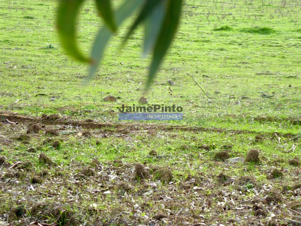 Agricultural land