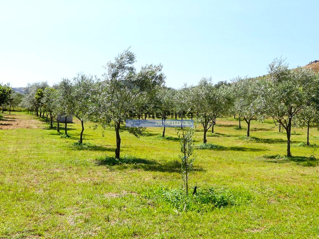 Agricultural land