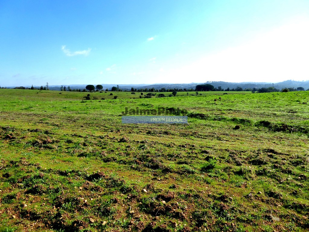 Farm