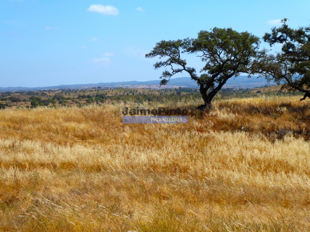 Agricultural land