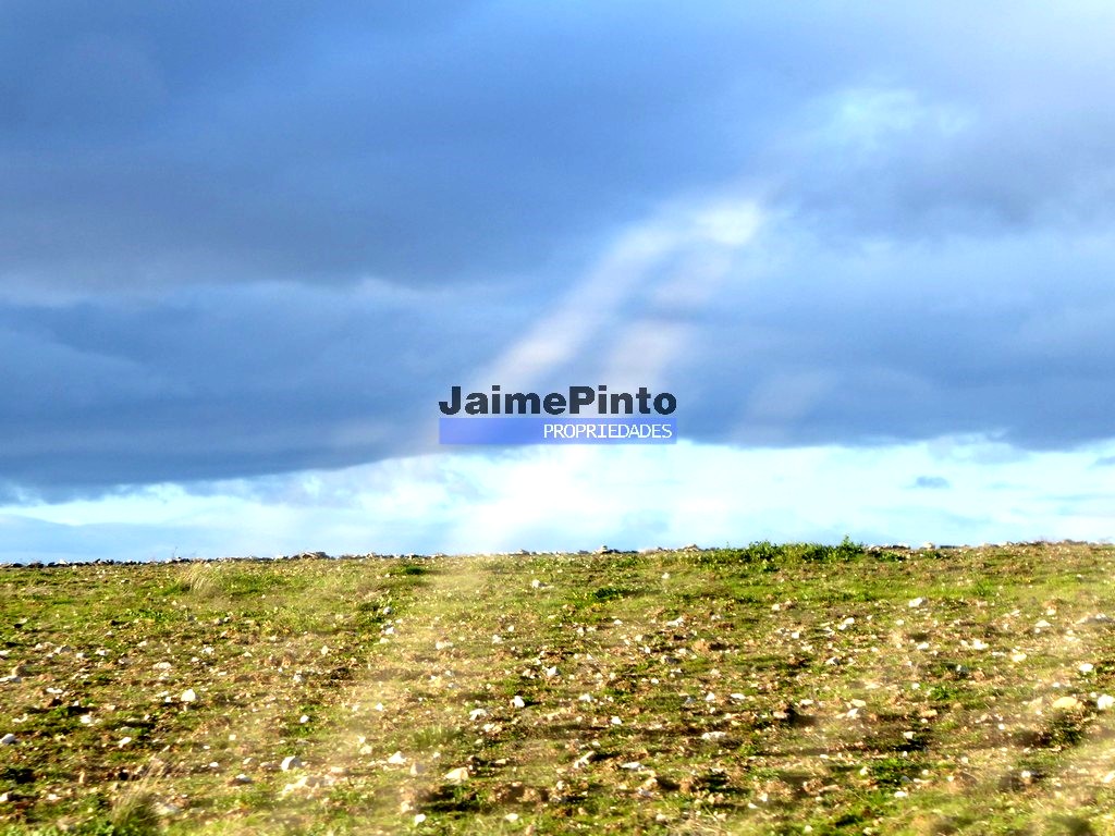 Agricultural land