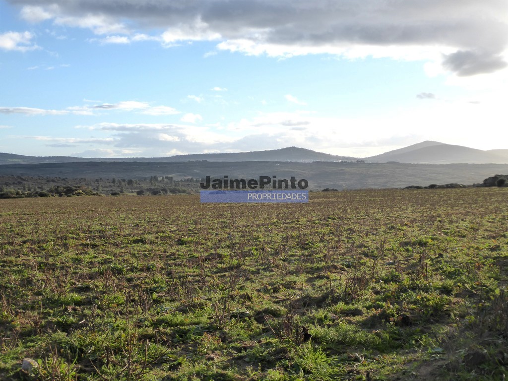 Agricultural land