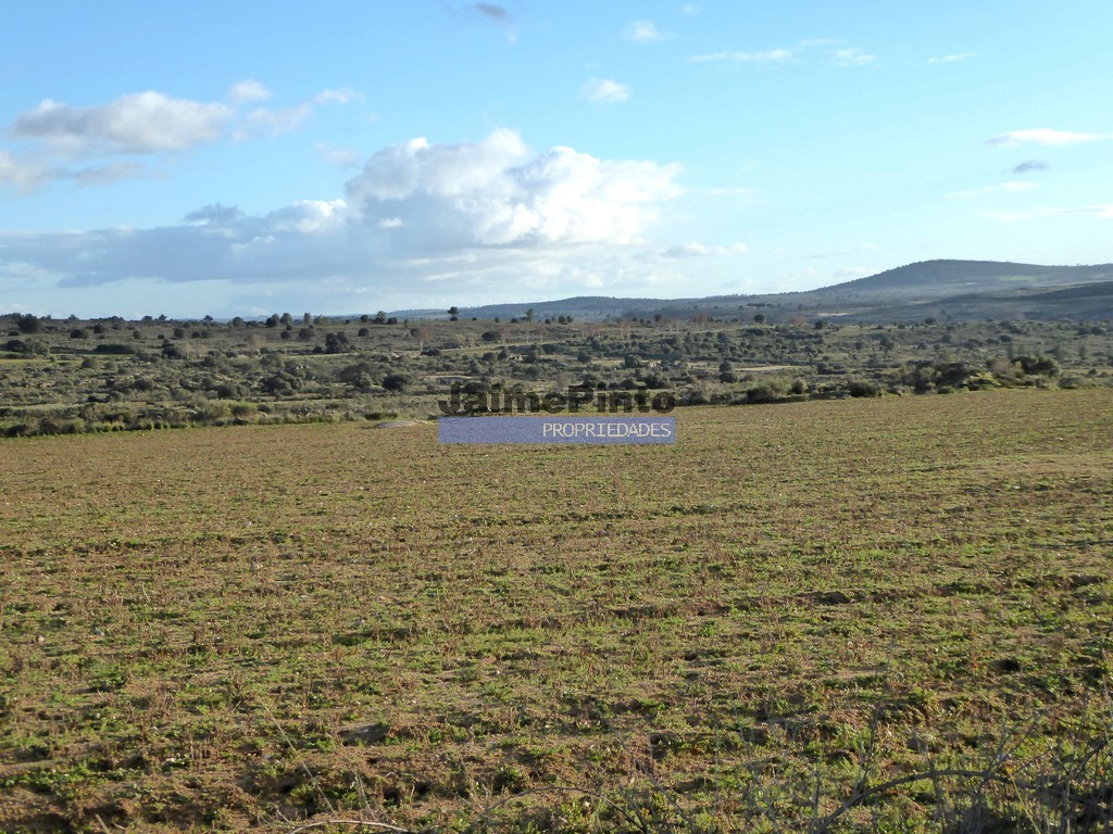 Agricultural land