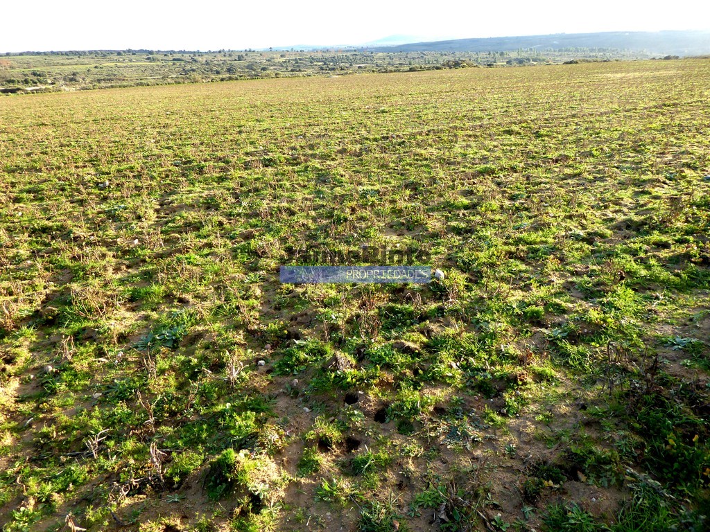 Agricultural land