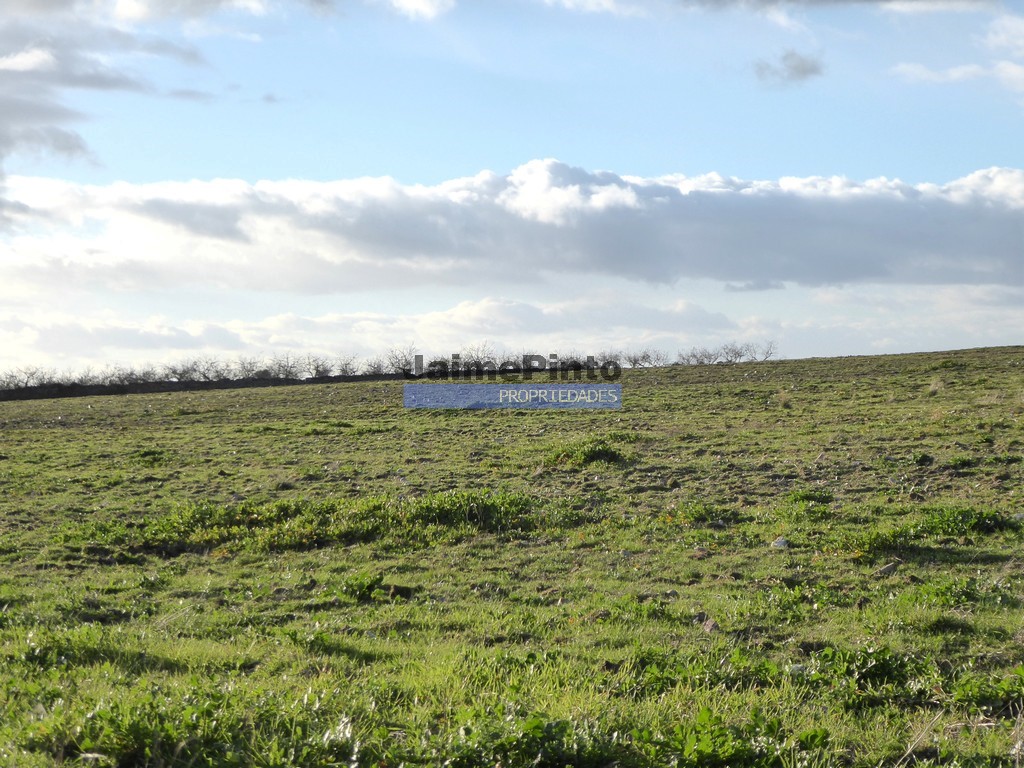 Agricultural land