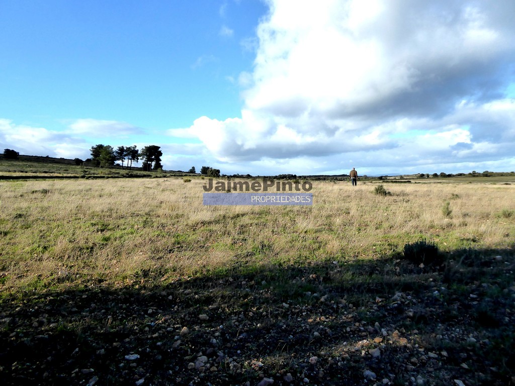 Small Farm