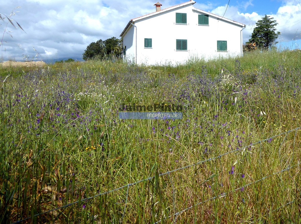 Small Farm