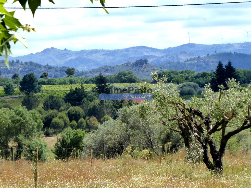 Small Farm
