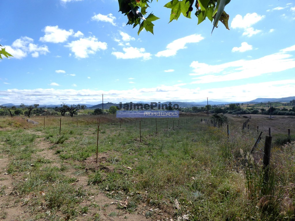 Small Farm
