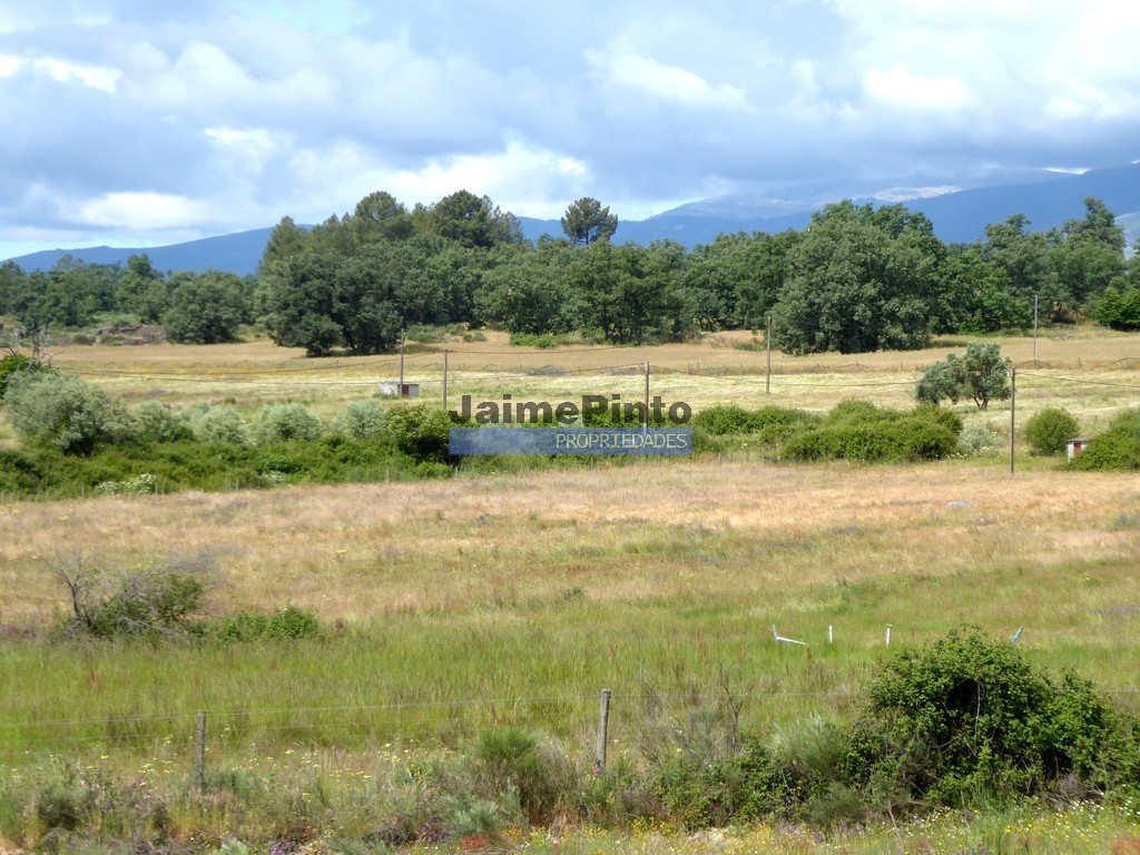 Farm