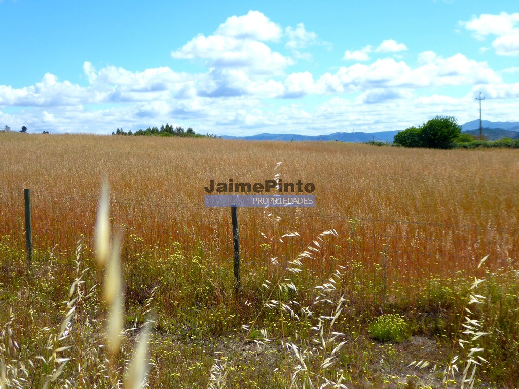 Farm