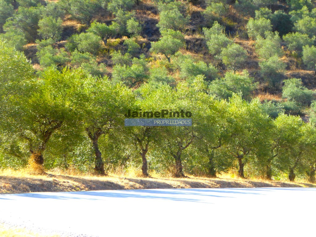 Agricultural land