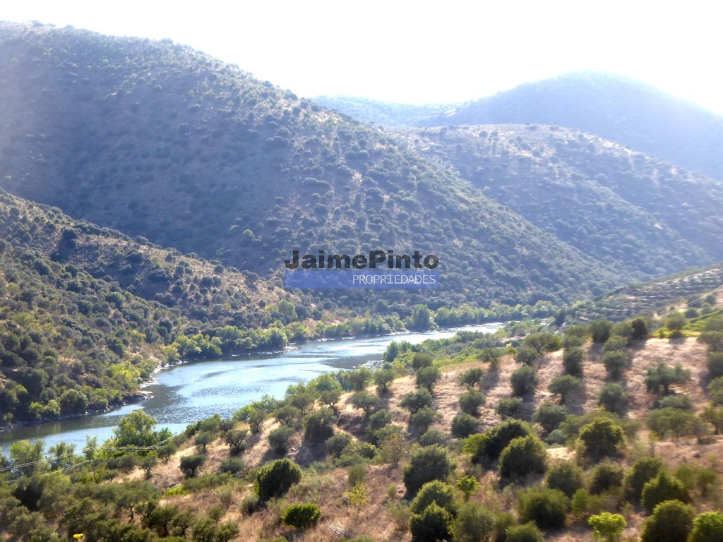 Agricultural land