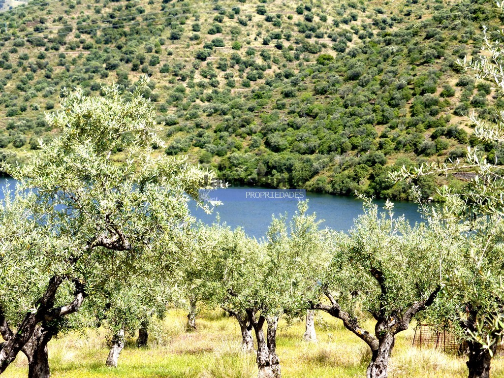 Agricultural land