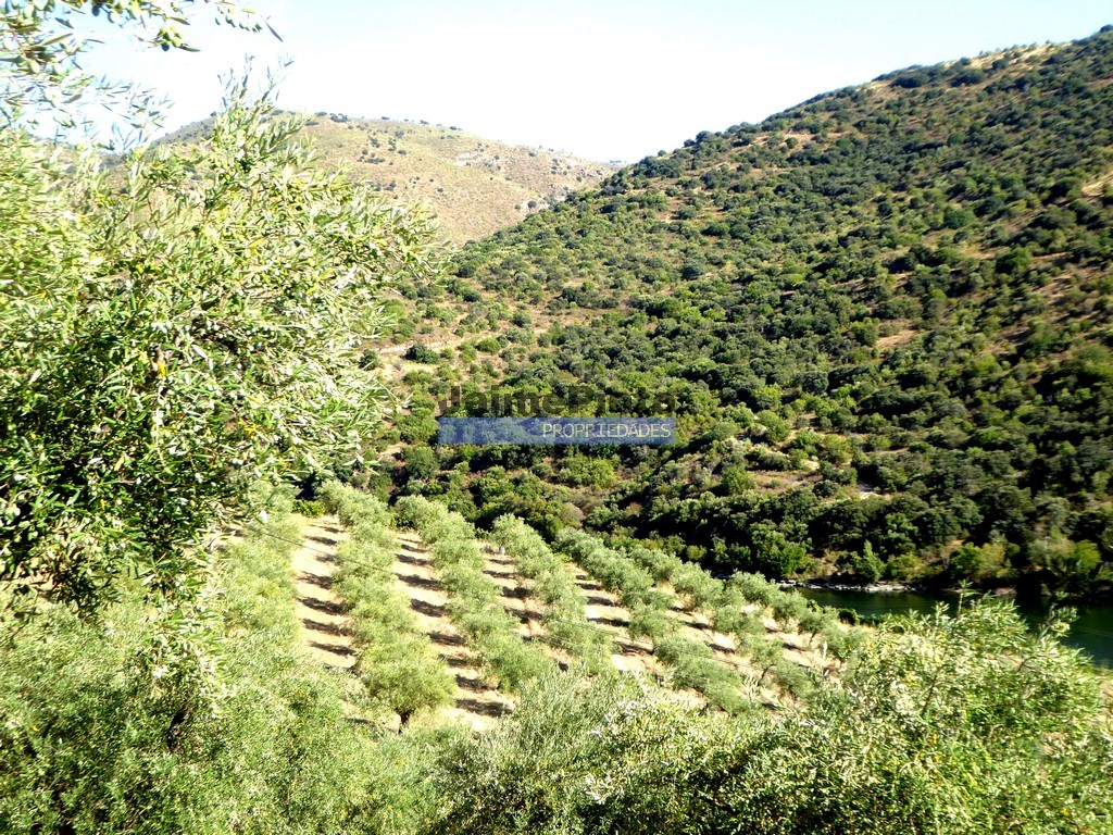 Agricultural land