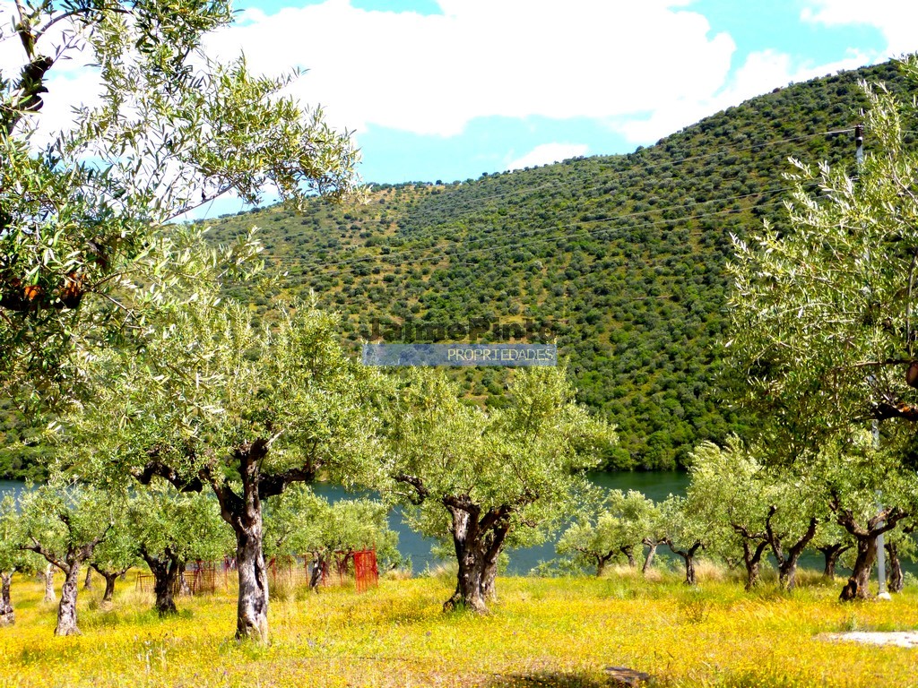 Agricultural land