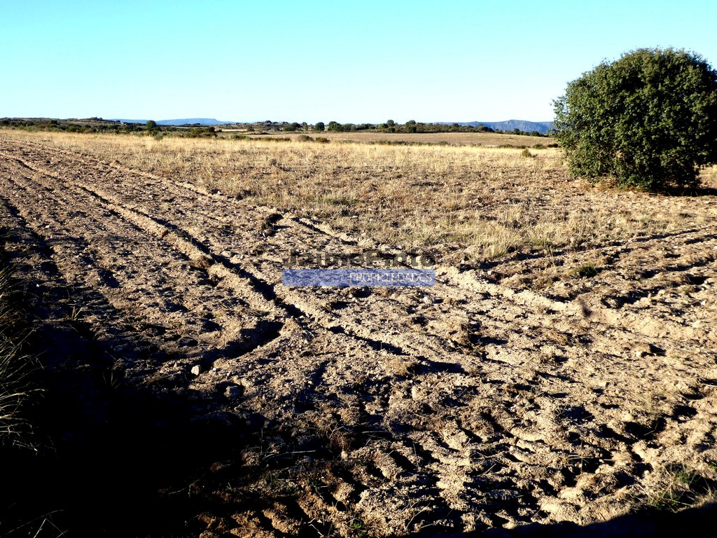 Agricultural land