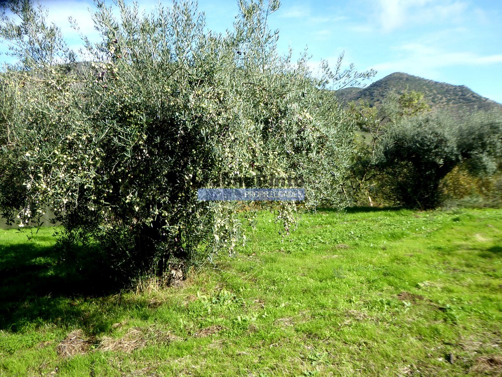 Farm