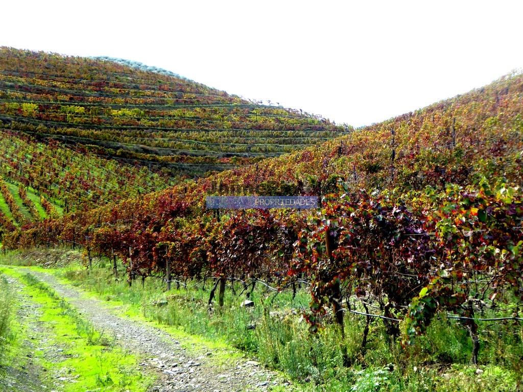 Farm