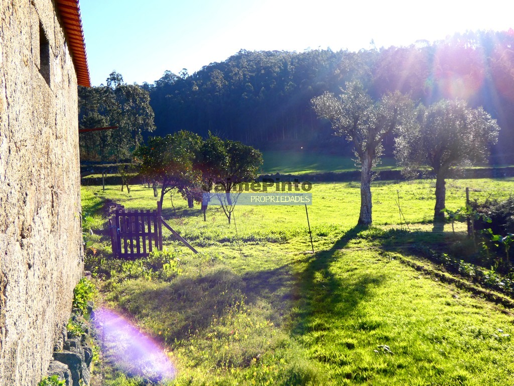 Farm