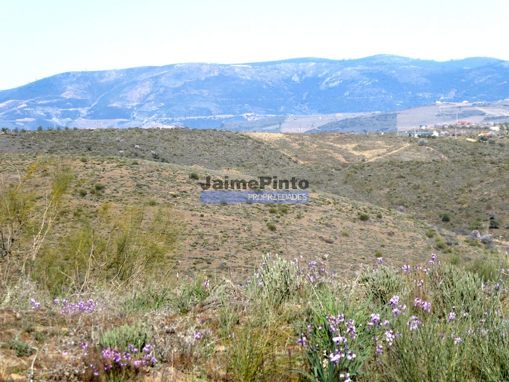 Agricultural land