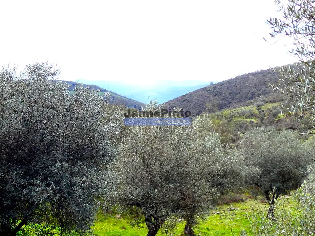 Agricultural land