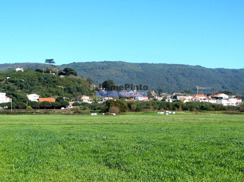Land plot for house construction