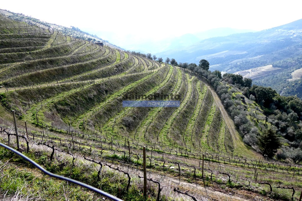 Agricultural land