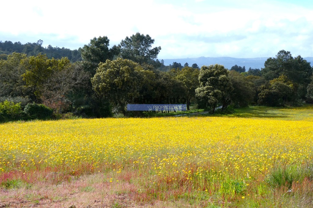 Farm