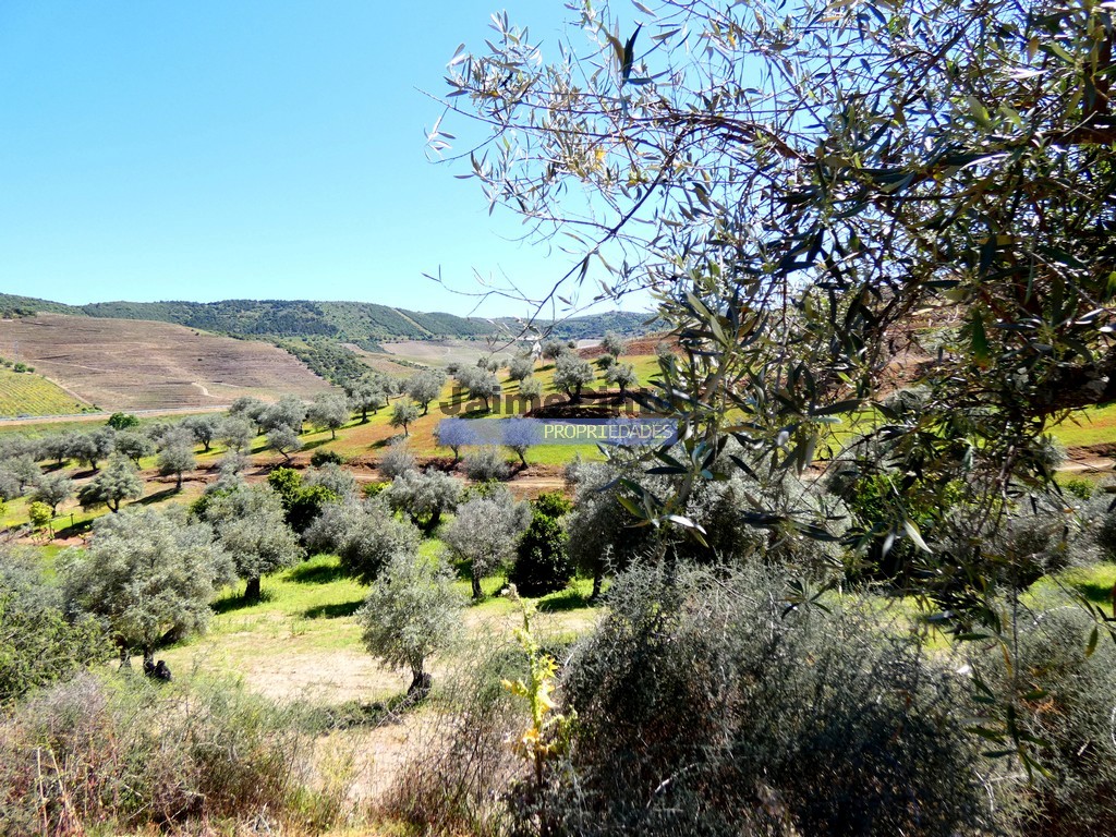 Farm