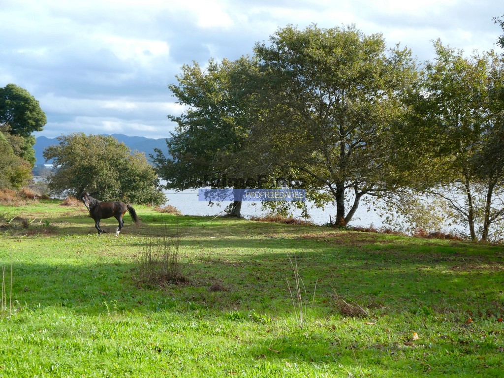 Farm
