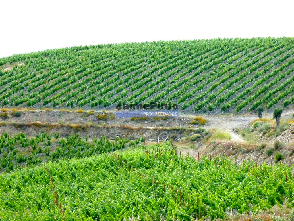 Farm