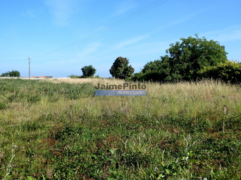 Urban / Agricultural land plot