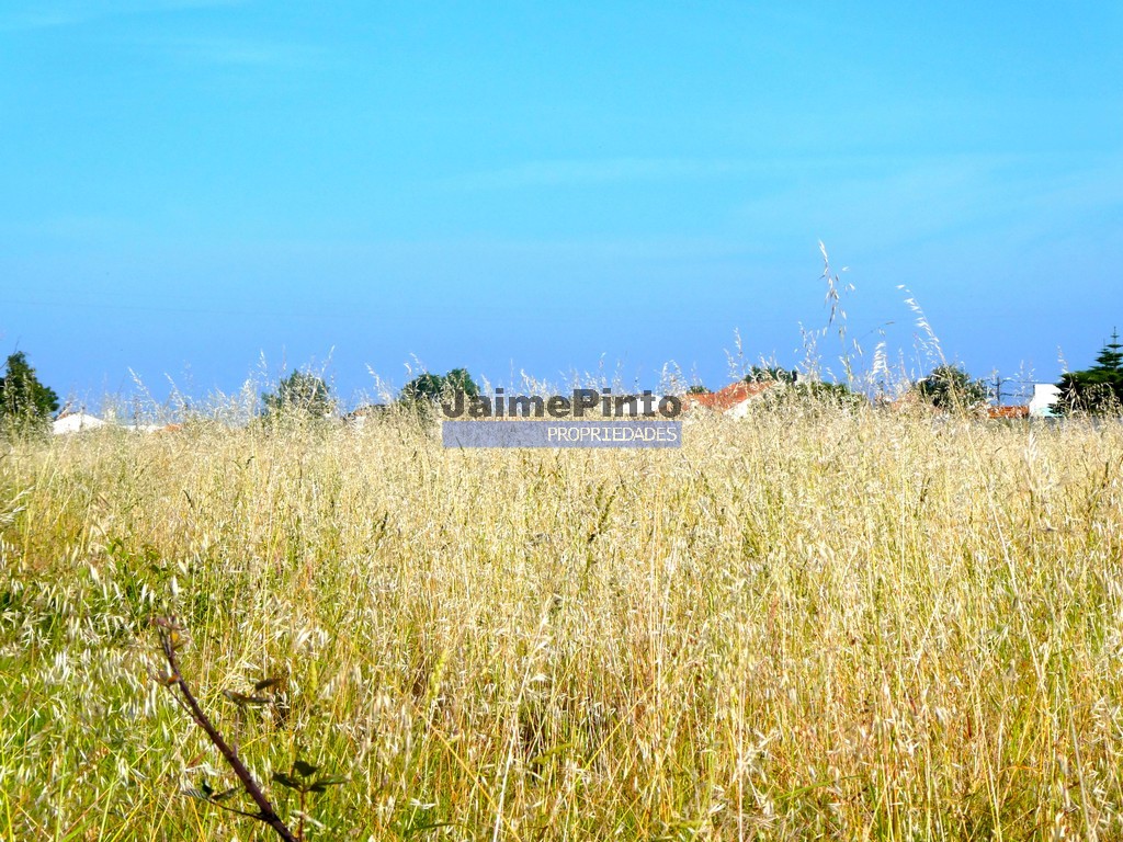 Urban / Agricultural land plot