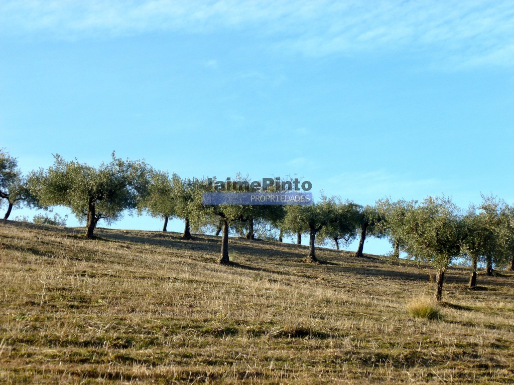 Agricultural land