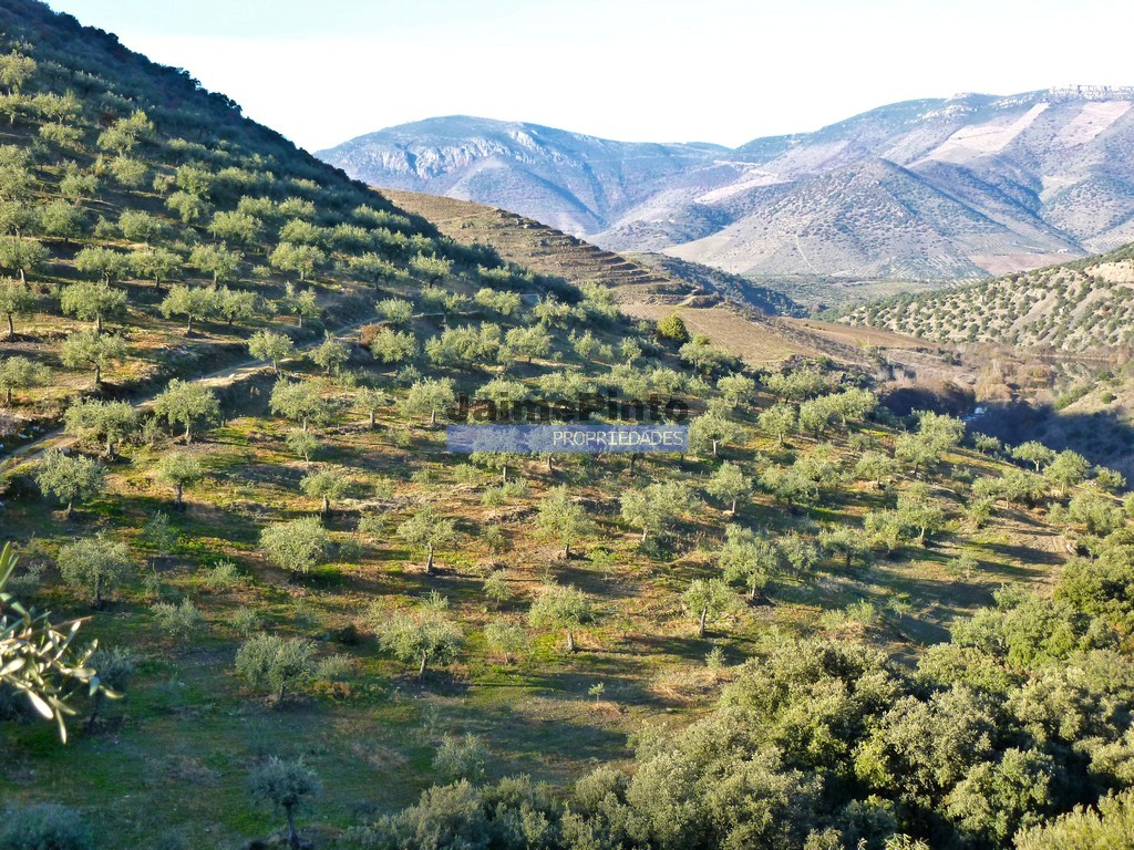 Agricultural land